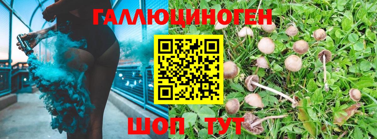Псилоцибиновые грибы мухоморы  Псилоцибиновые грибы Psilocybe  Великий Устюг  Вход с VPN 